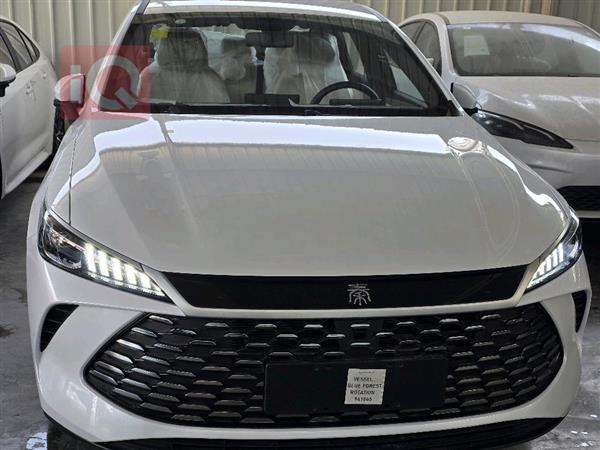 بي واي دي Qin Plus 2025 للبيع في العراق -  بغداد